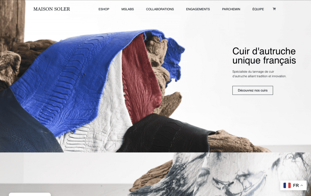 Estructura web optimizada con CodeRoot